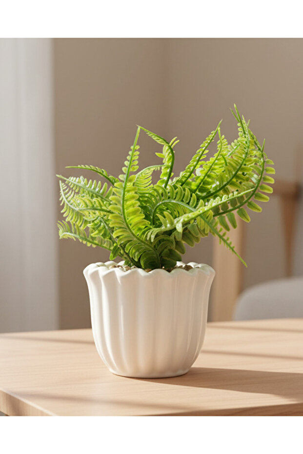 White Fern With Planter