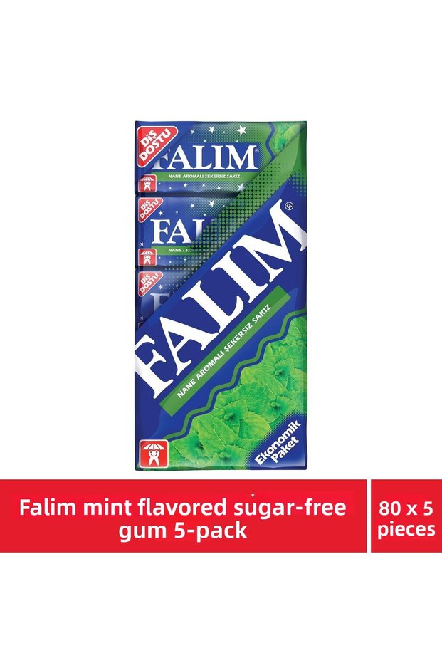Mint Flavored Sugar-Free Chewing Gum - 80 Pieces