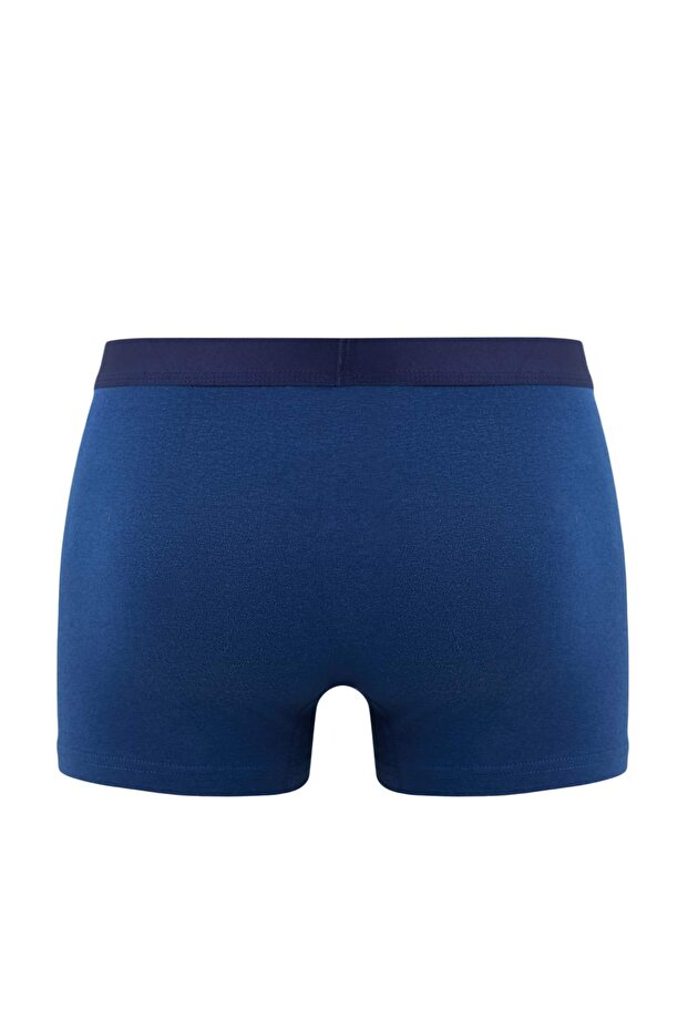 Çok Renkli 3'lü Paket Ayı Baskılı-Düz Esnek Pamuklu Boxer TMNSS25BX00008 - 9