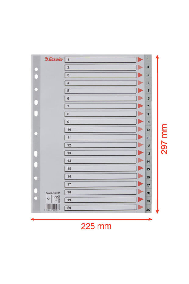 Index A4 numerotat 1-20 - 1