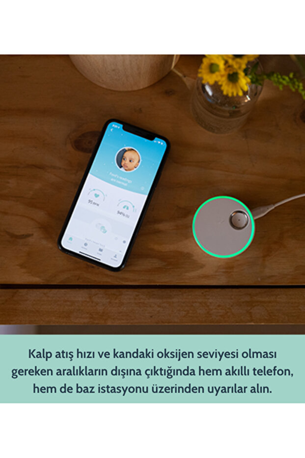 Smart Sock 3 - Original Mint-Akıllı Çorap - 3