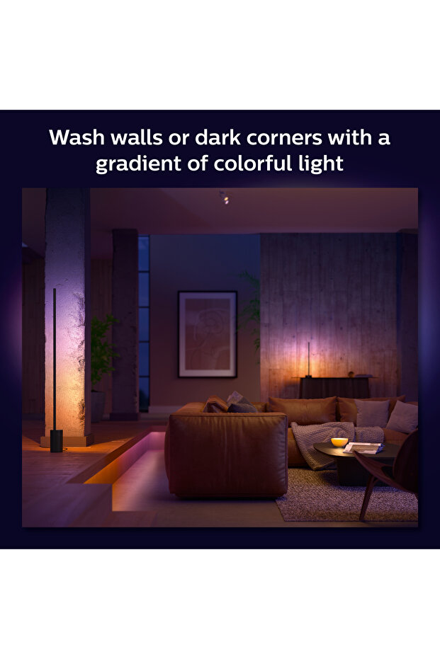 Hue Gradient Signe Zemin Işığı - Siyah - 4