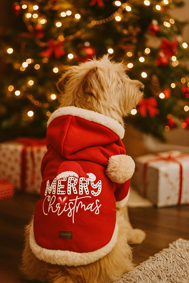New Year's Outfit Clothes - Merry Christmas for Cats and Dogs (Noel)
