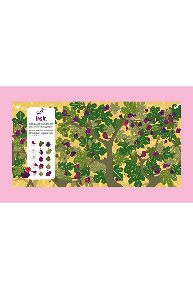 Kudüsün Renkleri - 4