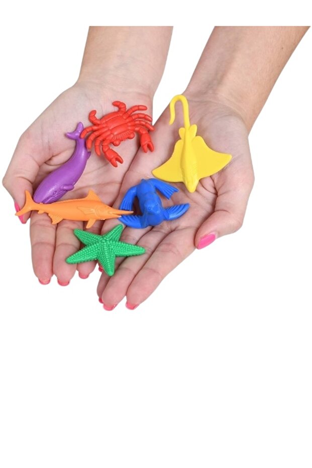 Education Sea Canlilari Counters + Transfer Tweezers