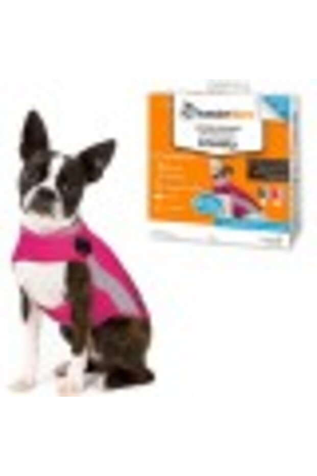 كلب (وردي XS) - 6