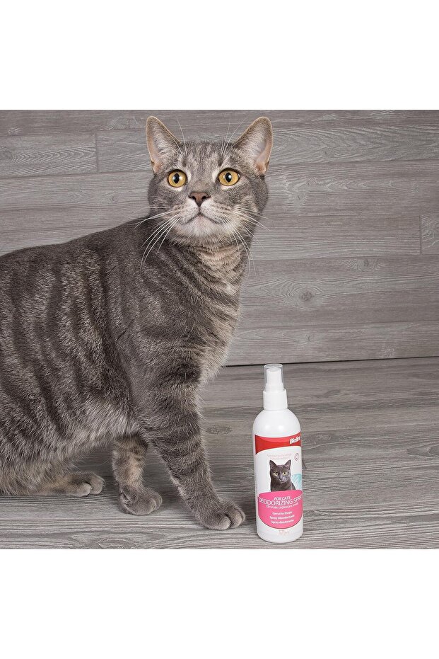 Deodorizing Spray For Cats 175ml - 4