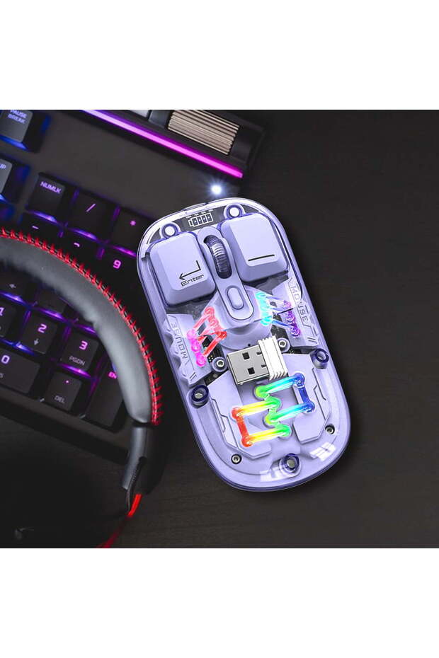 Transparent Wireless Mouse, 2.4G & Bluetooth 5.0, Type-C Rechargeable, RGB, 1600 DPI