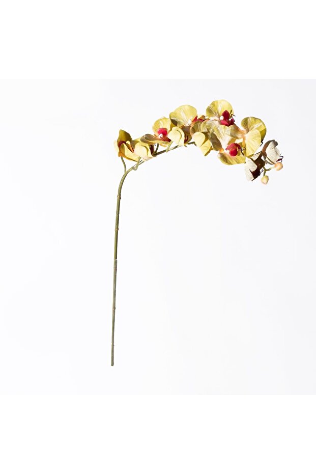 Orhidee artificială verde 75 cm - 1