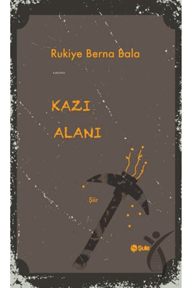 Kazı Alanı