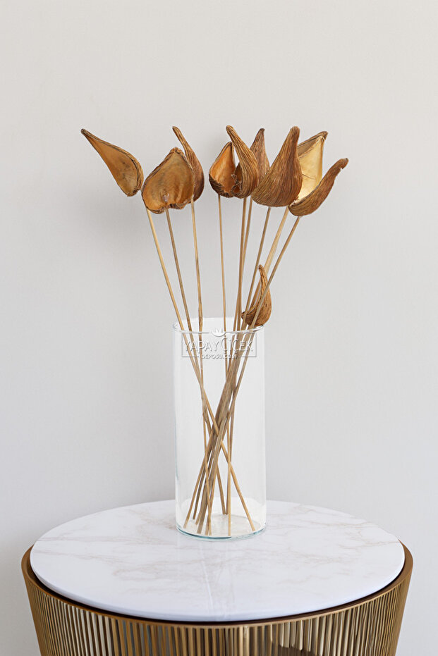 Imported Dried Flower 7Pcs Pradeep on Stem 47 cm