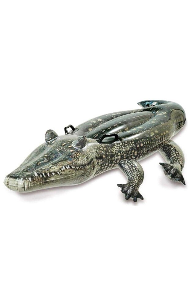 Realistic Gator Ride-On, Multi-Colour, 67 x 34 Inches, 57551