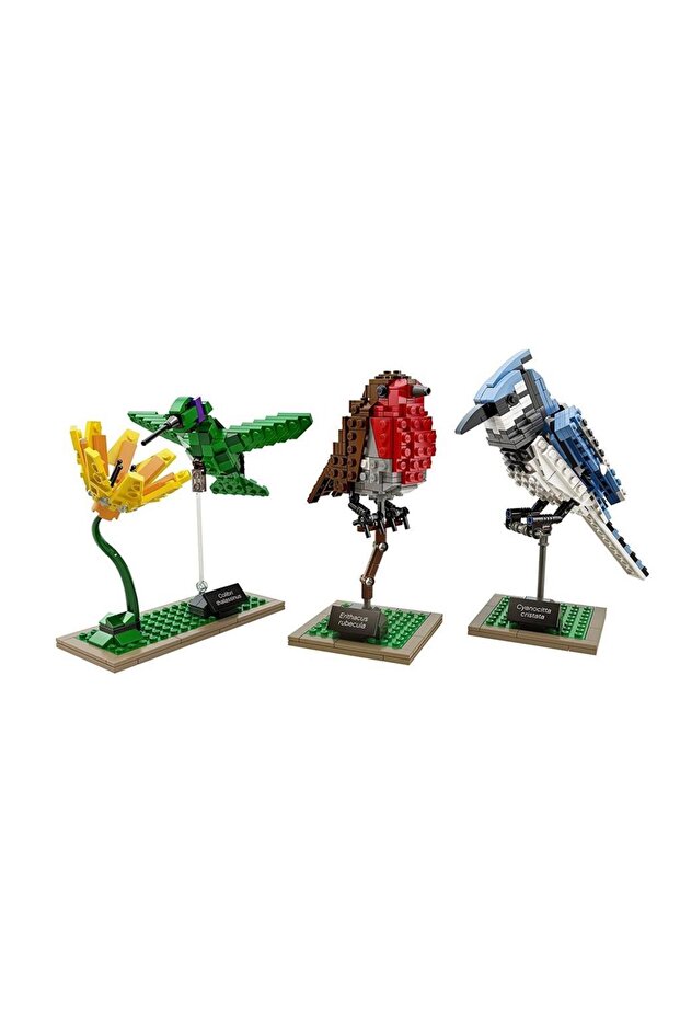 Ideas 21301 Birds - 3