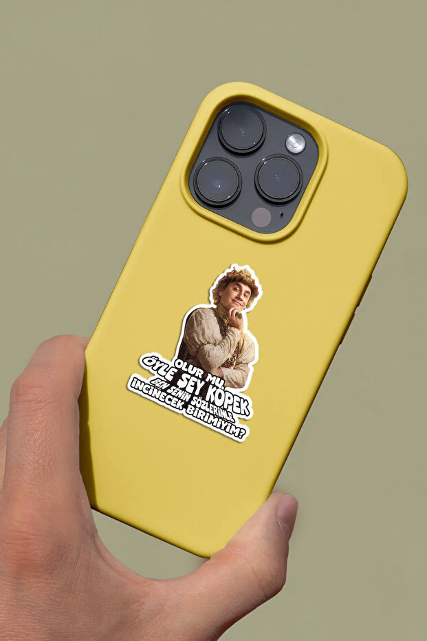 Prens Sticker Set-2 - 3