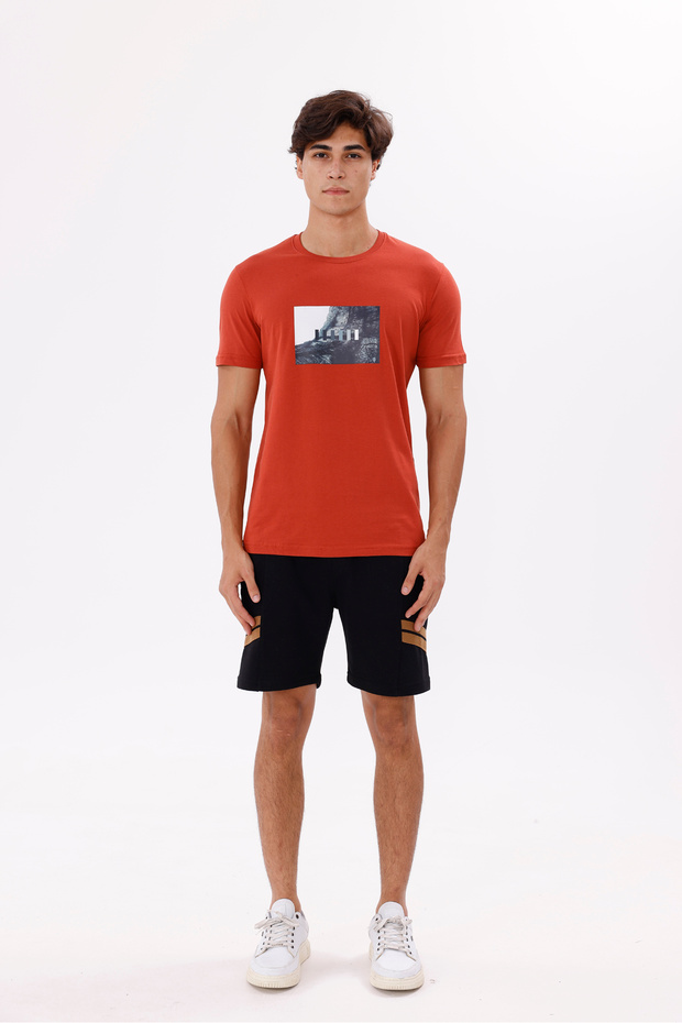 Rectangular Photo Printed Soft Textured Crew Neck Short Sleeve Relaxed Fit T-Shirt