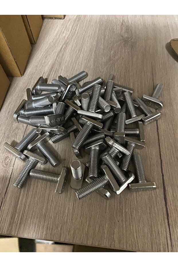 20 mm paslanmaz T cıvata - 2