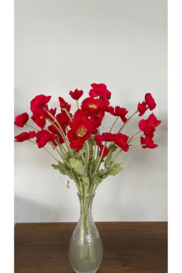 Gelincik çiçeği - 1