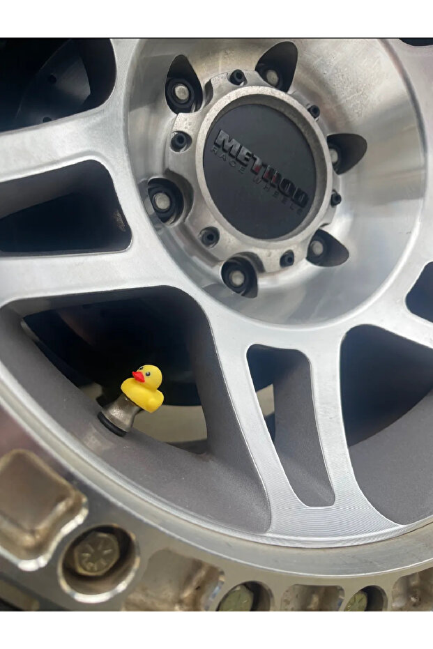 Ördek sibob kapağı - 1