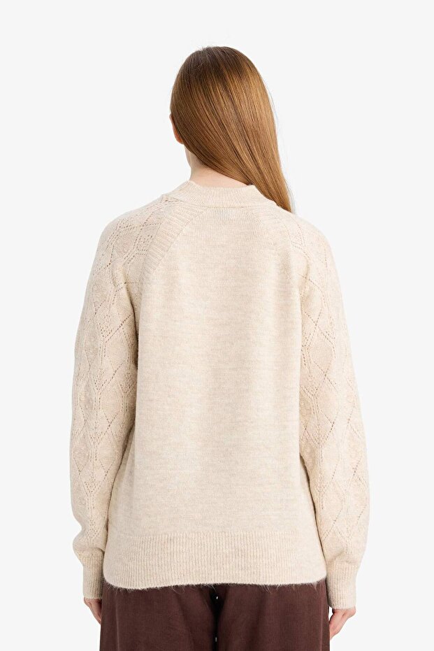 Regular Fit Bisiklet Yaka Triko Kazak F4082AX25WN - 4