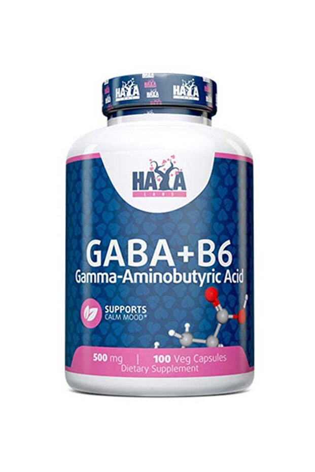Gaba - B6 500 Mg 100 Vcaps