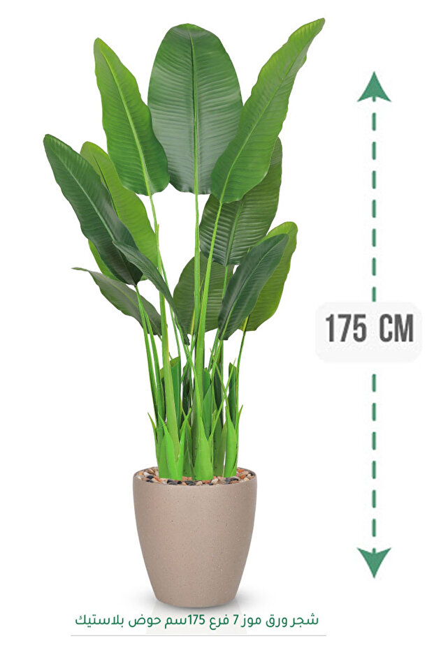 شجرة موز اصطناعية ( ارتفاع 175 سم ) حوض بلاستيك