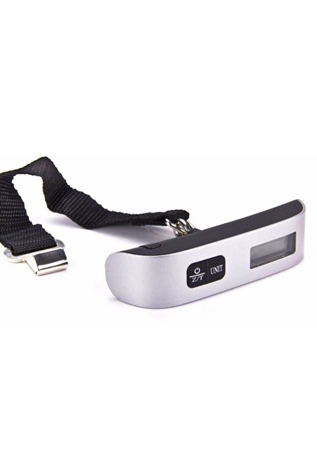 SILVER Hand Scale Display Thermometer - 2