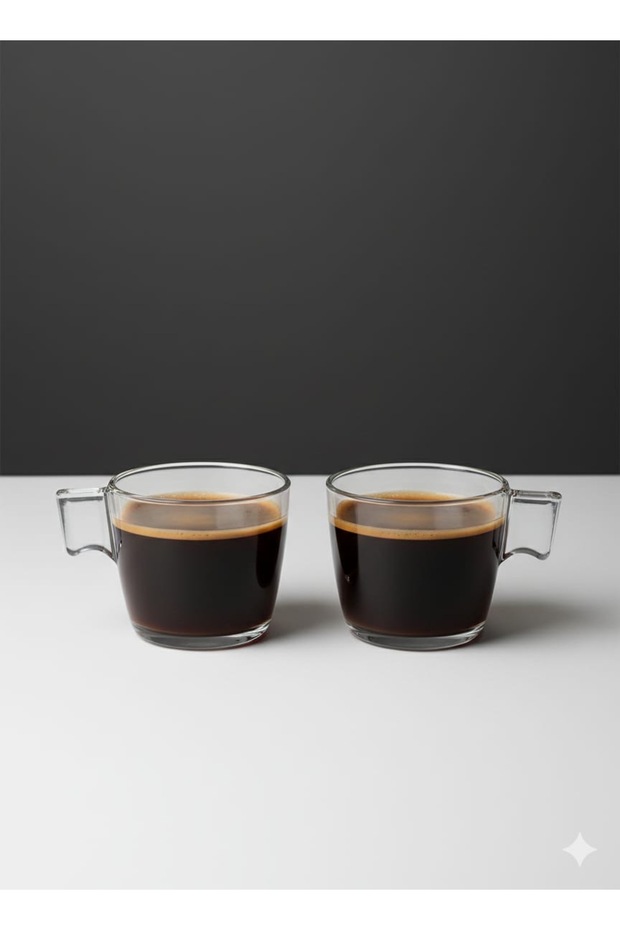 2-Pack Glass Handle Sık Design 23 Cl Glass Cup Coffee and Tea Cup