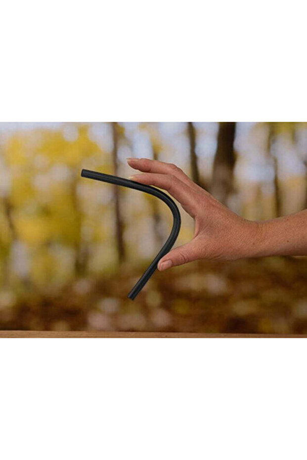 Ei bine, PRACTIC - 1