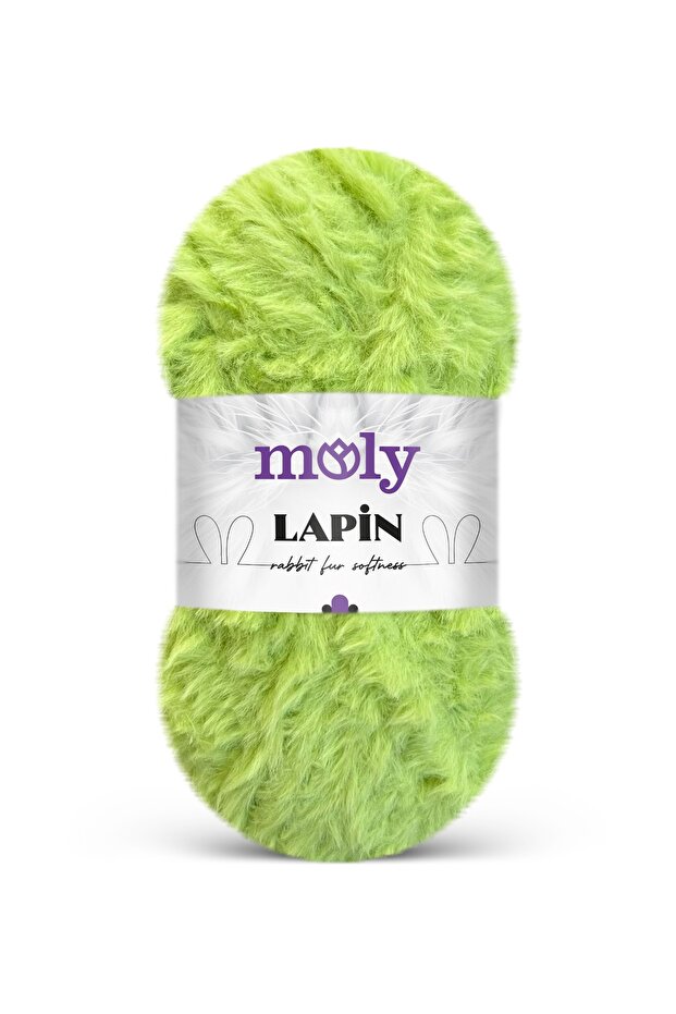 LAPİN - 1