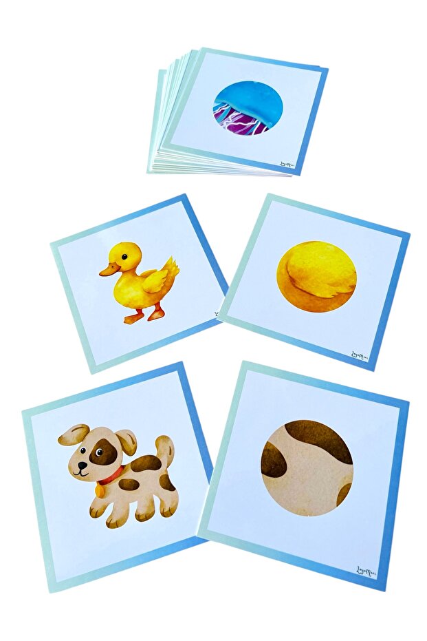 Pattern Matching Cards/ Attention Concentration Activity - 3