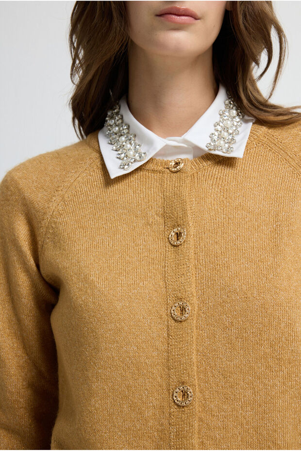 Bisiklet Yaka Triko Hırka - 3