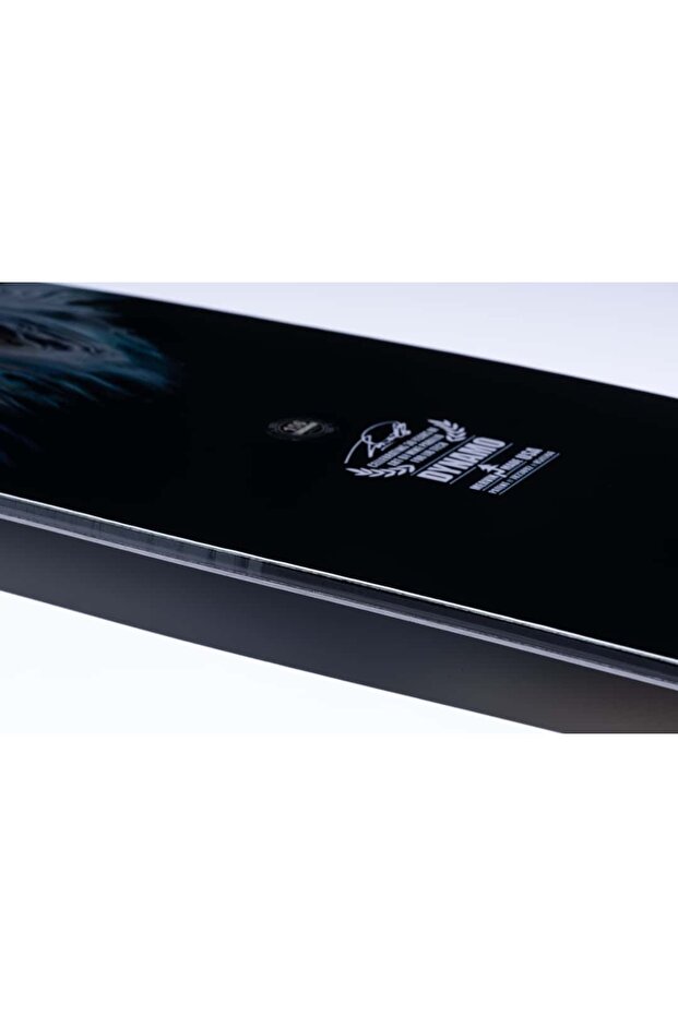 Dynamo 2025 Snowboard - 2