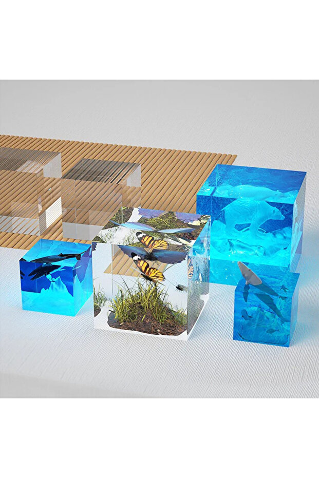 قالب مكعبات الإيبوكسي من السيليكون 5 سم - 3