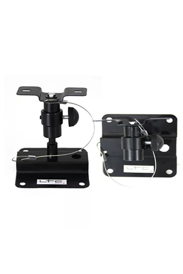 Adjustable speaker mount - 1