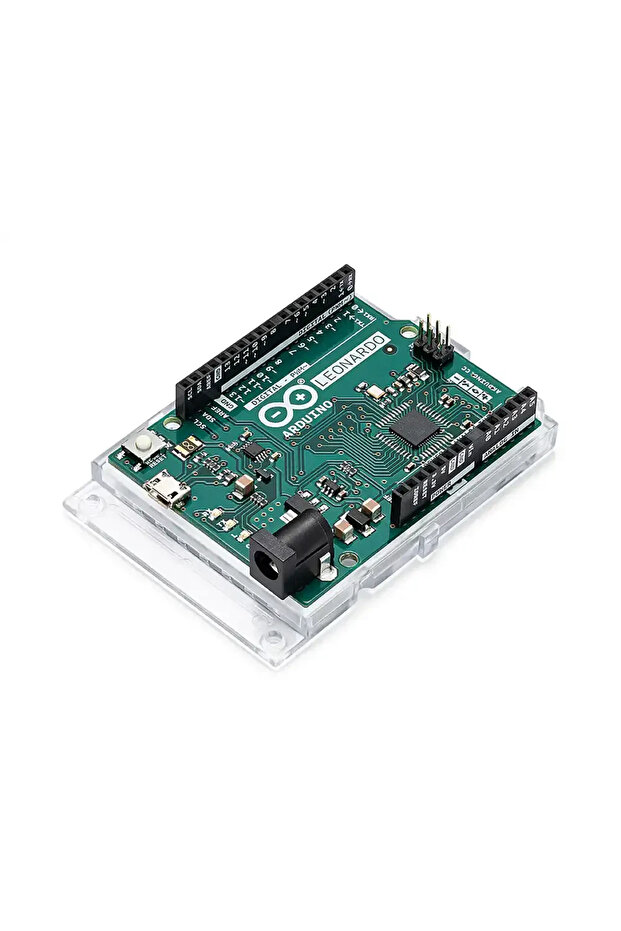 Orijinal Leonardo - 3