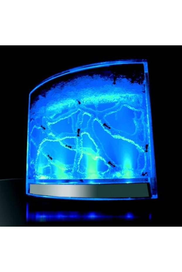LED Ant Habitat