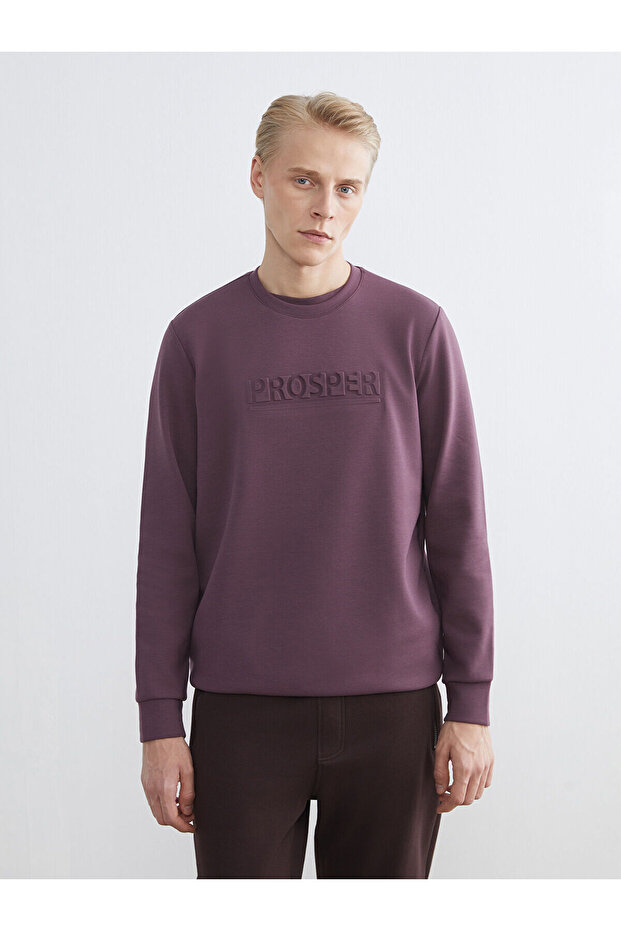 Crew neck printed men's sweatshirt