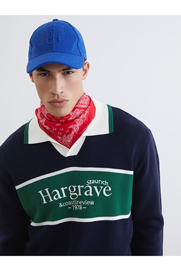 Polo Yaka Printed Men's Knitwear Sweater