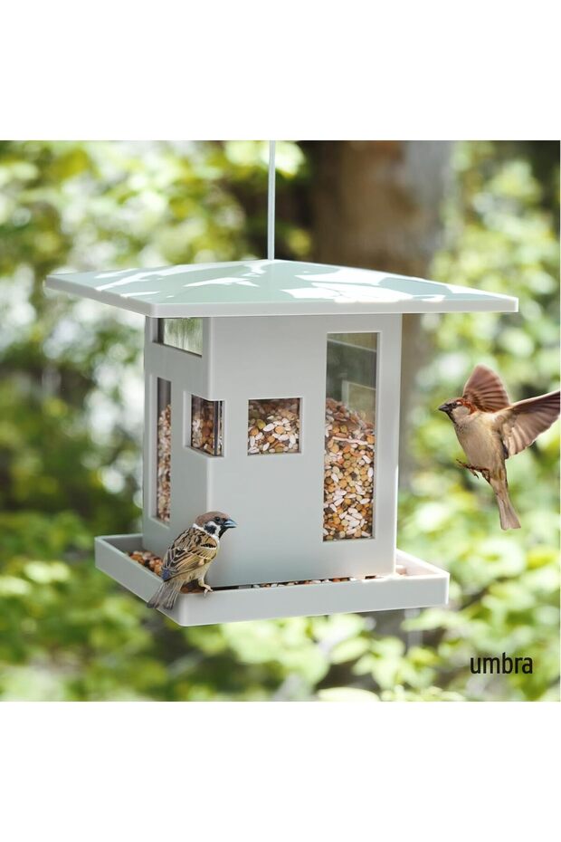 مغذي الطيور - 2