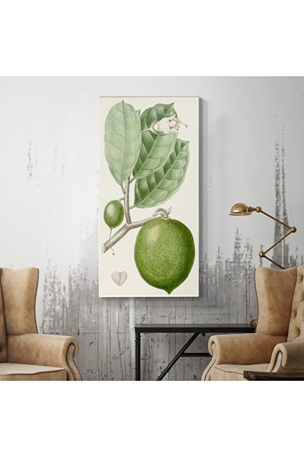 Turpin Lime Citrus Fruits Wall Art – Botanical PosterPrints (50x100 cm )