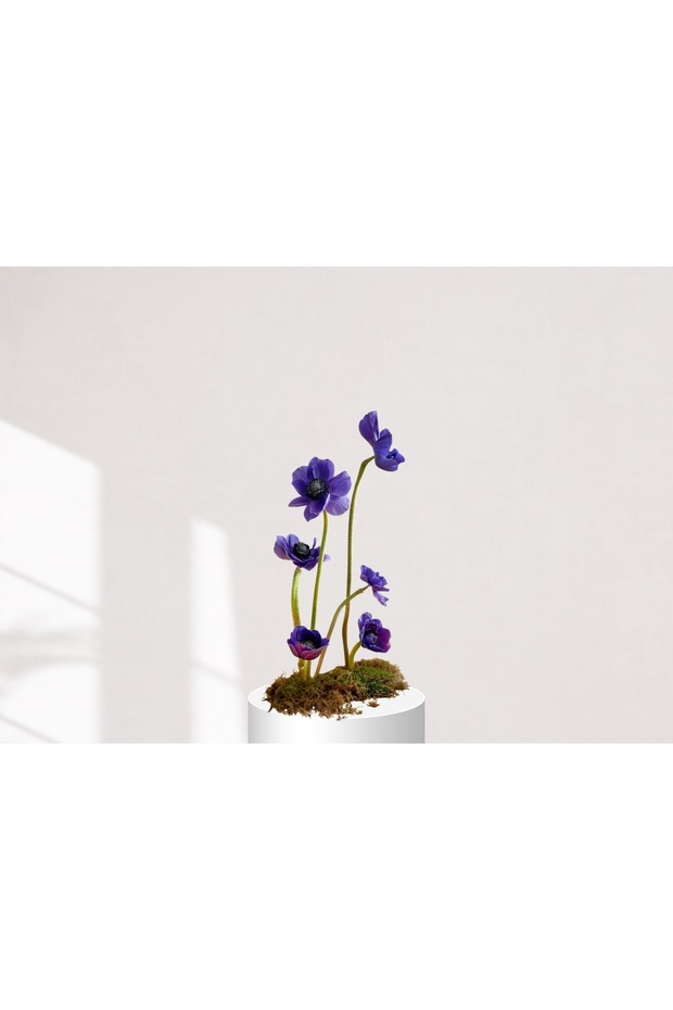 Midnight Bloom Elegance