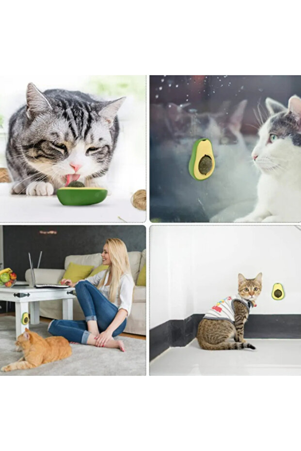 Catnip toy, avocado shape, rotating ball, catnip - 10