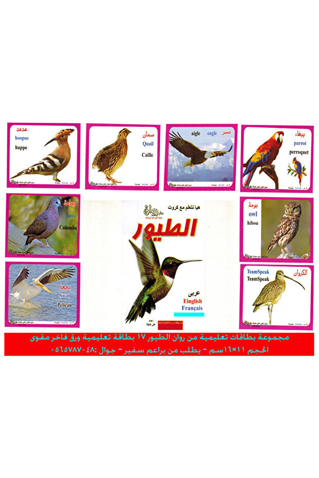 الكروت التعليمية - الطيور - 2
