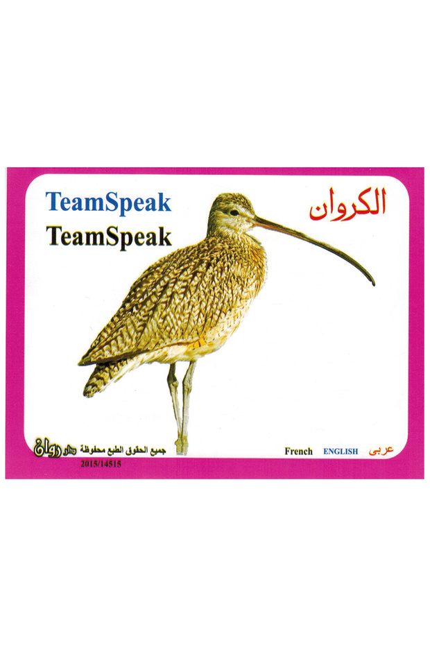 الكروت التعليمية - الطيور - 3