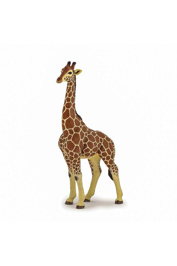 Figurina Girafa Mascul