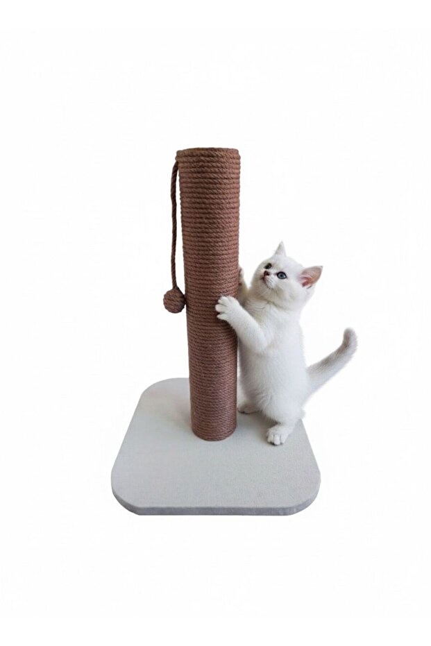 Scratching Board - 1