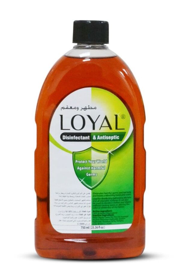 Antiseptic Disinfectant Medical Grade First Aid Liquid Solution (750ml)