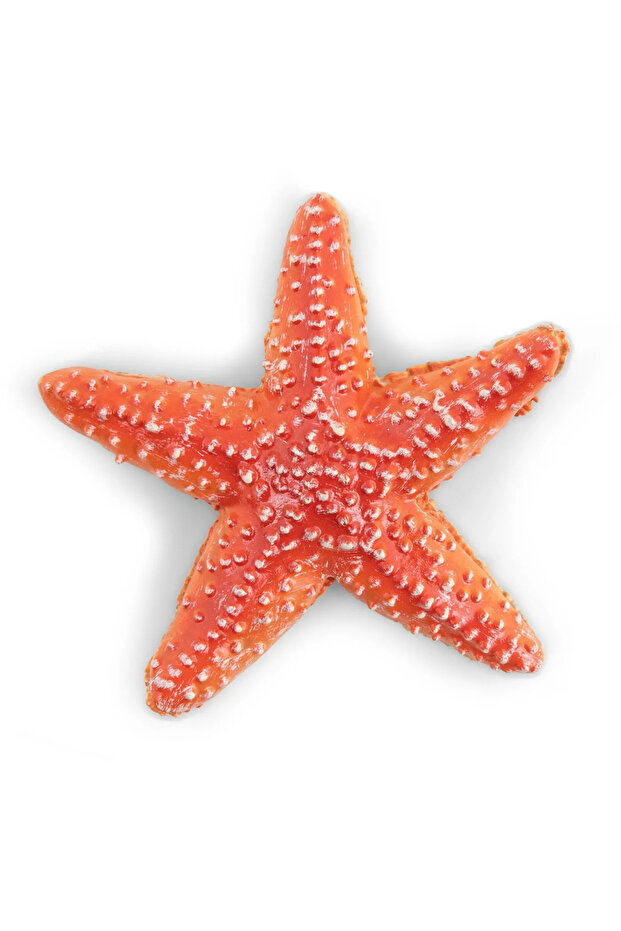 Ειδώλιο Αστερία - 2