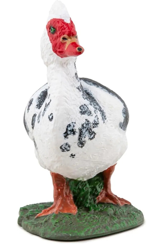 Εγχώριο ειδώλιο δόσεων - 5