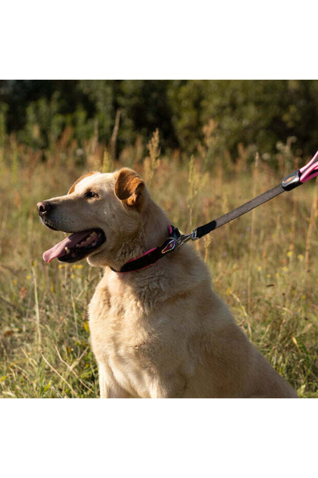 Ergonomic Lead for DogsColor: Pink, Dimension: 55cmX25mm